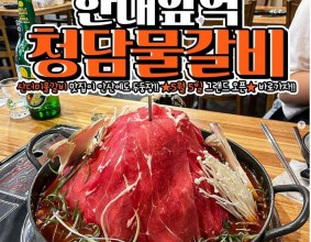 대박!! 산더미물갈비 맛집 안산에 떴음!!! #이동 #청담물갈비