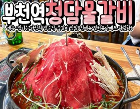 옆동네인 인천에서도 소문난 물갈비집 데리고옴???? 계속 땡기는 마성의 밥순삭 메뉴 #청담물갈비 에서 신메뉴로 JMT 밀푀유나베 나온거 아는사람~?